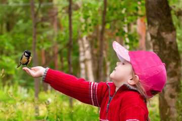 beautiful three-year-old girl in a red sweater feeds pine nuts with her hands on a titmouse