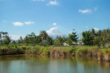 Natural landscape with lake in foreground and trees with vivid green grass under very blue sky and Mount Merapi in background in Yogyakarta Java Indonesia Asia