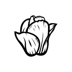 Vintage black and white blooming tulips. tulip element Idea for business visit card, typography vector,print for t-shirt.