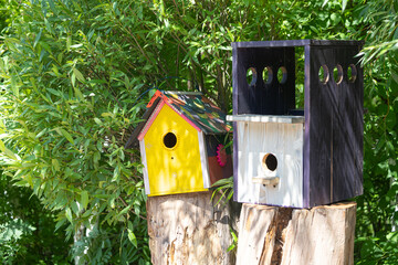 Two wooden birdhouses for birds stand in the park on a telty summer day