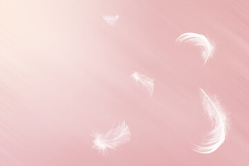 White feathers floating in the sky with sunlight pastel