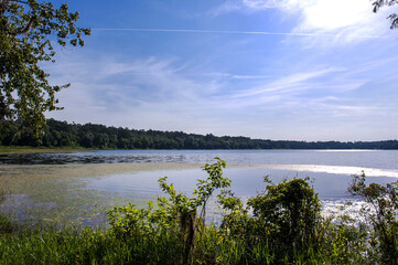The beautiful Mc clay  state park Florida background blue sky.