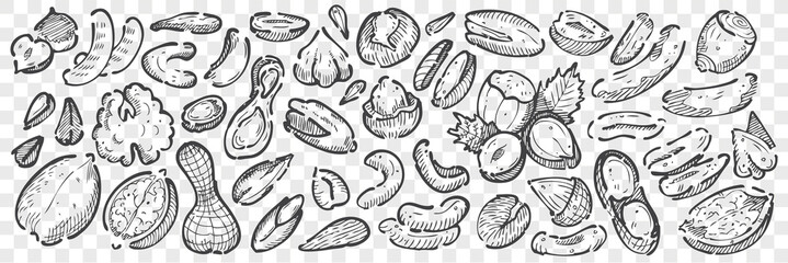 Hand drawn nuts doodle set