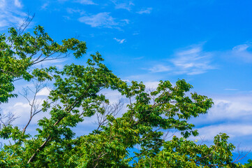 夏の空のイメージ