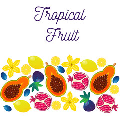 tropical fruit banner vector illustration isolated on white background