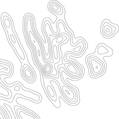 Abstract Topographic Contour Map Template. Abstract composition of black circles and lines on a white background. EPS10 Vector