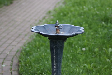 water fountain in the park