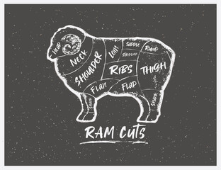 Graphic silhouette of a Ram with the line of cutting for the butcher on a dark background.