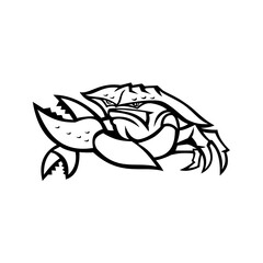 Angry Red King Crab Mascot Black and White