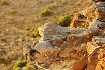 Limestone rock as part of Australian geology