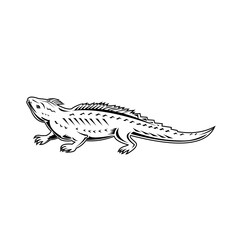Northern Tuatara Sphenodon Punctatus or Brothers Island Tuatara Side View Retro Black and White