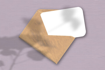 An envelope with a sheet of textured white paper on the pink background. Mockup with an overlay of plant shadows. Natural light casts shadows from an exotic plant. Horizontal orientation