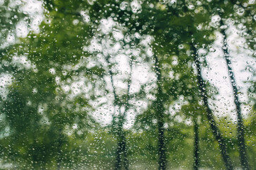 Rain drops on window with green trees in background. Rainy day