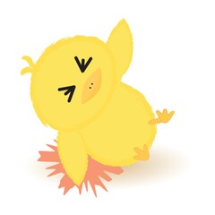 baby chick fell down