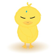 angry baby chick