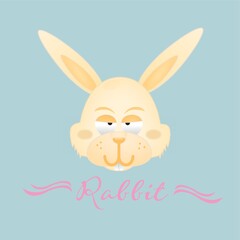rabbit