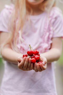 Little blond girl holding cherries in her hands