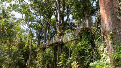 The Balata garden in Martinique in France