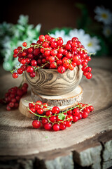 Fresh red currants in plate on dark rustic wooden table. Background with copy space. Selective focus.