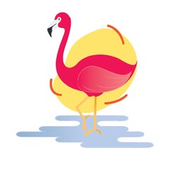 flamingo