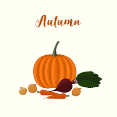 Autumn harvest: pumpkin, beets, carrots, onions