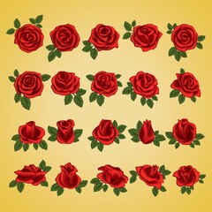 collection of red roses