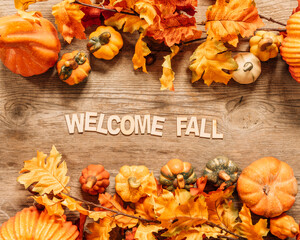 beautiful welcome fall composition