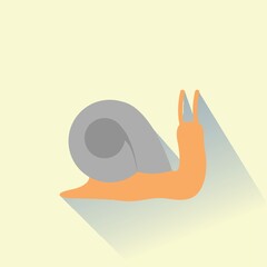 snail