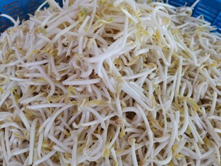 fried chicken breast