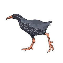 ヤンバルクイナ