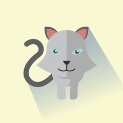 cat