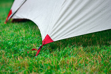 Edge of a touristic tent strained with ropes on the green grass outdoors in summer - Powered by Adobe