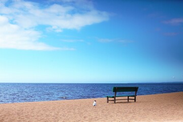 chair on the beach with blue sky