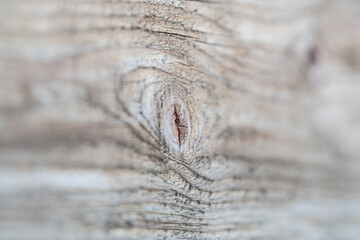 knotted wooden board close up