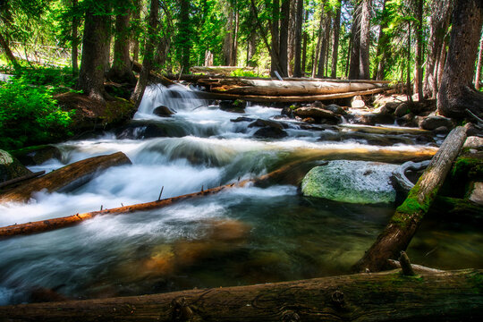 Fish Hook Creek, Stanley, Idaho