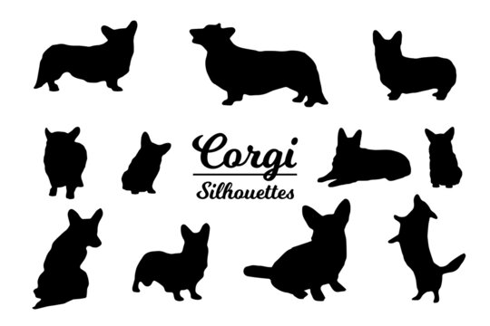 Corgi dog silhouettes