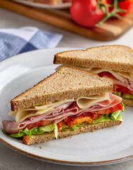 Ham and Cheese Sandwich on Whole Wheat Bread