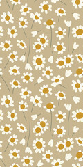 A bouquet of minimalistic daisies. Wildflowers. Summer meadow plants. In style mid century