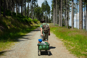 father with a child in stroller is walking along a forest road