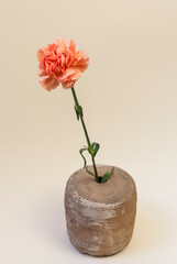 Vertical shot of pink carnation flower isolated on creamy white background with rustic pot. This flower represents deep and unconditional love, such as a mother feels towards her children.