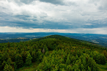 Fototapeta premium Green forest in mountains of Sudetes, Poland