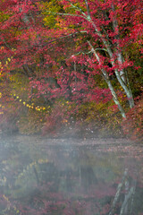 JayOBrien/JaynesGallery/DantaDelimont.com