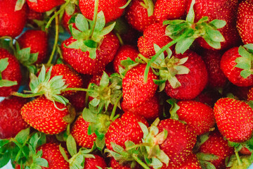Strawberry. Fresh organic berries macro. Fruit background
