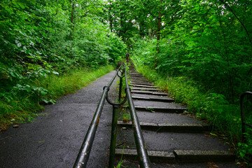 Obraz premium Gothenburg, Sweden Steps through a wooded park.