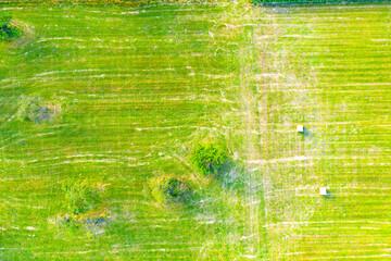 Vertical stripes of agricultural parcels of different crops. Aerial view shoot from drone directly above field