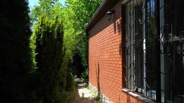 Beautiful landscaped garden with evergreens. High Thuja occidentalis Smaragd and boxwood bushes grow near path along brick wall of country house. Peaceful atmosphere. Summer landscape.