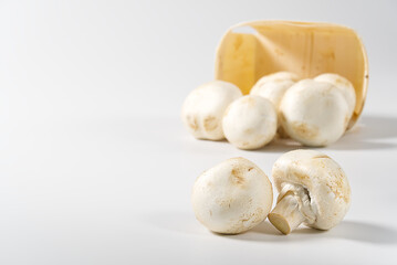 White Mushrooms champignons in wooden basket on a light background. Close up with copy space. Packed champignons to basket.