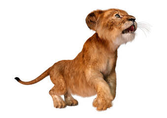Obraz premium 3D Rendering Lion Cub on White