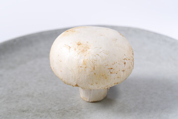 Fresh champignon mushroom macro shoot. Close-up white champignon at grey plate.