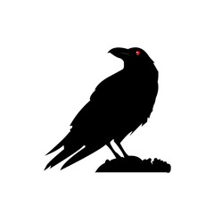vector illustration of a crow